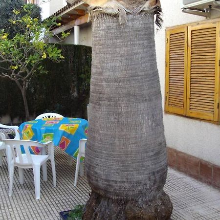 Ferienwohnung La Casa De La Palmera Torrevieja Exterior foto