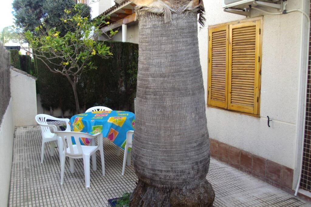 Ferienwohnung La Casa De La Palmera Torrevieja Exterior foto
